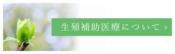 生殖補助医療について